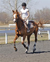  Another offspring by Jetalite Blue Ice at 5