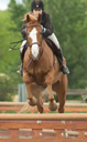  Another offspring by Jetalite Blue Ice at 5