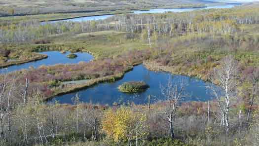 View from one of the trails