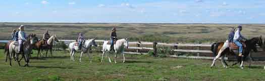 Trail ride